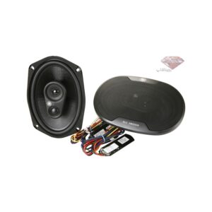 اسپیکر بیضی سوئدی M369 دی ال اس